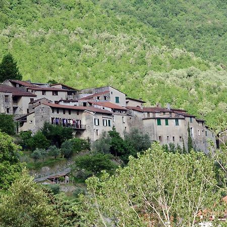 Agriturismo Mulino Del Castello Nasino Bagian luar foto